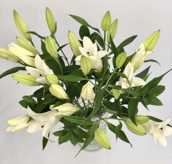 a Vase with premium white lilies by The gorgeous flower co
