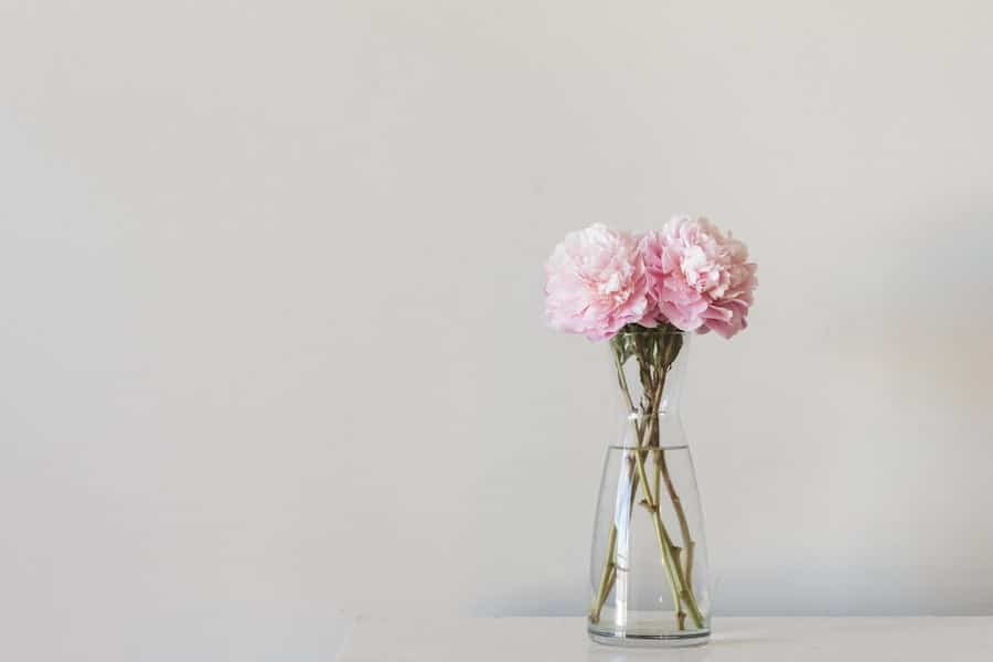 Beautiful pink flowers in a clear vase against a white background