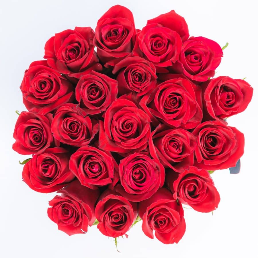 Gorgeous Red Rose Box