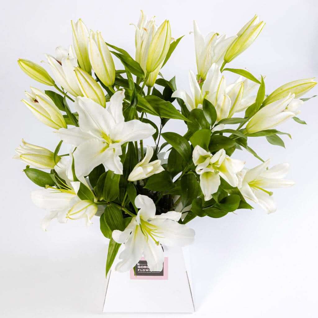 The Flower Company Premium Delivery Dubai Flower Delivery