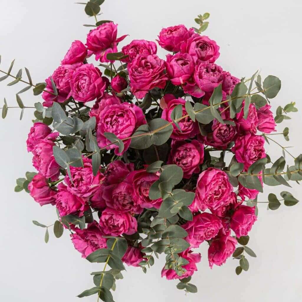 Keywords: premium flowers, same-day flower delivery, premium flowers in Dubai