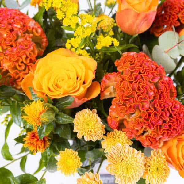 Coral bay The Flower Company