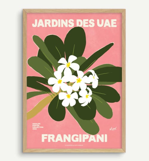 Frangipani- Pink