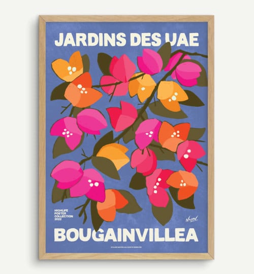 Bourgainvillea- Blue Rainbow