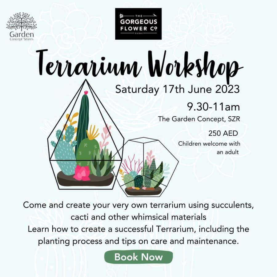 Terrarium Workshop