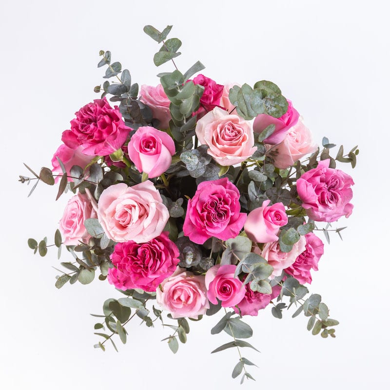 Rose Bay The Flower Company